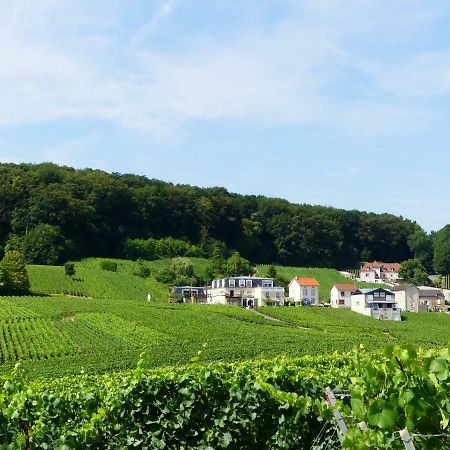 B&B En Champagne Cramant Eksteriør bilde